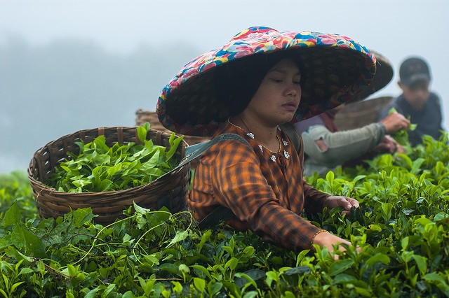 Being young, female and poor