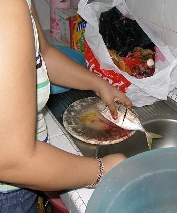 Working-class women bear the brunt in an unequal society / Michele Ford Labouring for development