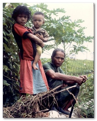 Land rights are crucial for social justice / Judith Mayer